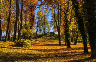DANIEL MATYSIAK FOTO KONKURS (3)