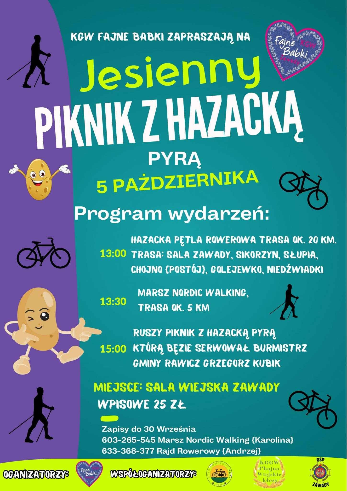 plakat, hazy, piknik