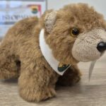 Maskotka Rawicki Niedźwiadek