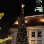 zdjecia rynku choinka ratusz święta