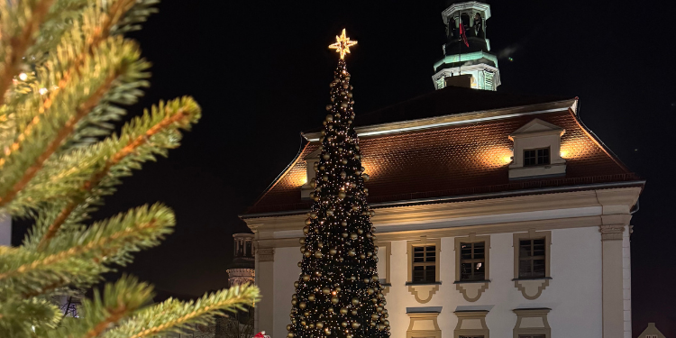 zdjecia rynku choinka ratusz święta
