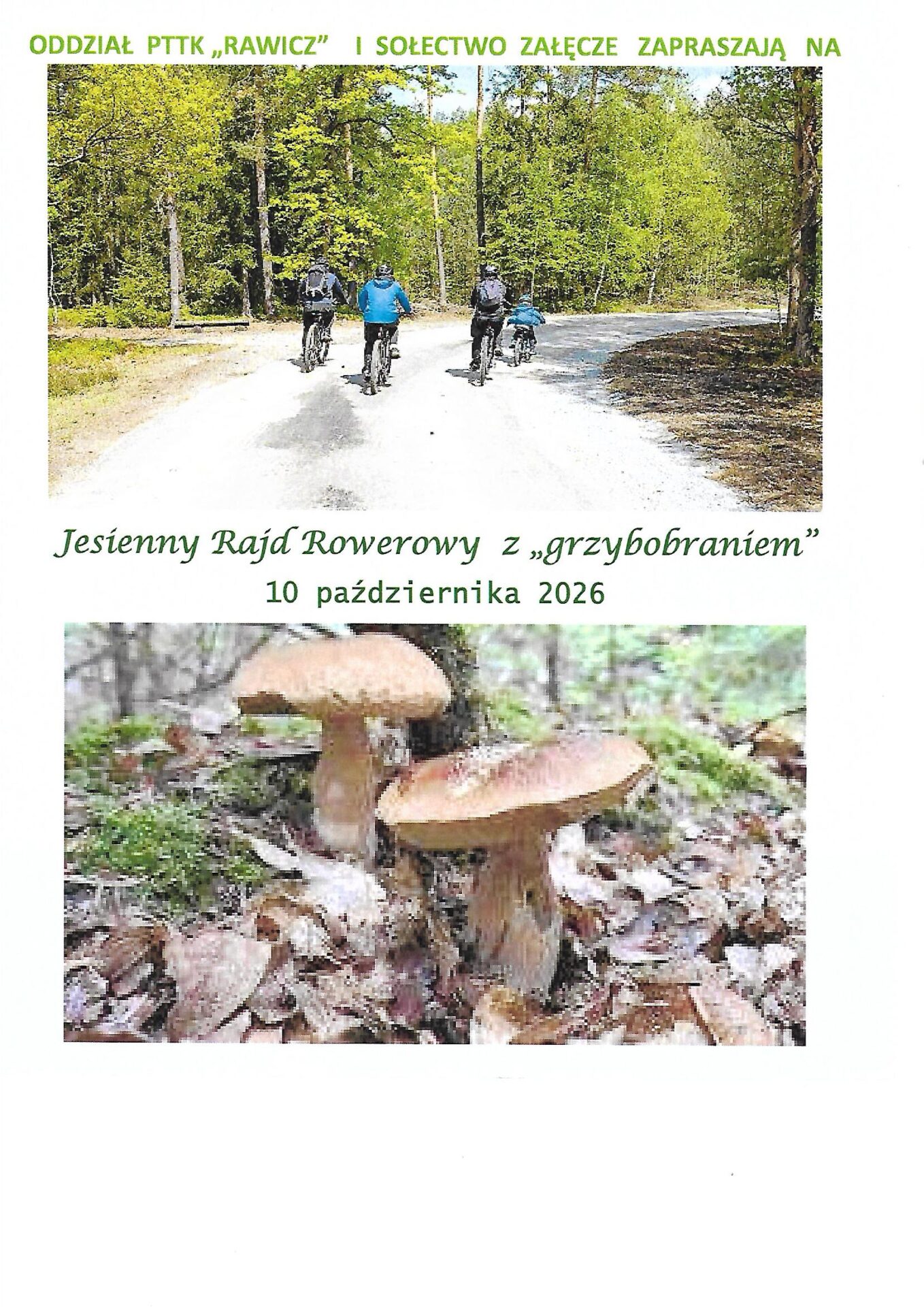 plakat program grafika ogólna